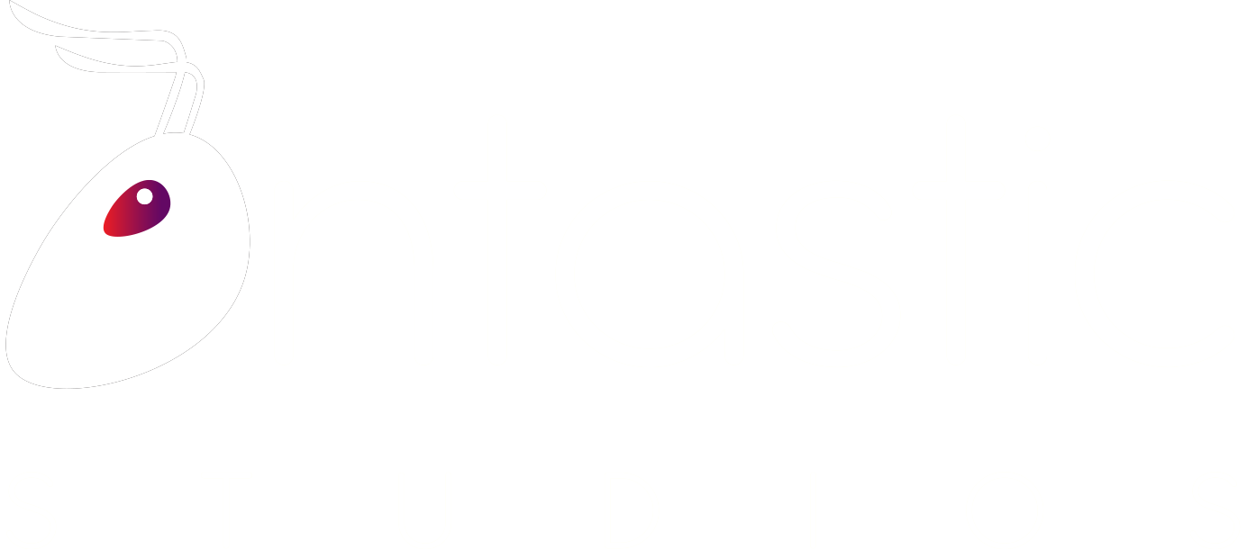 Antastic Studio