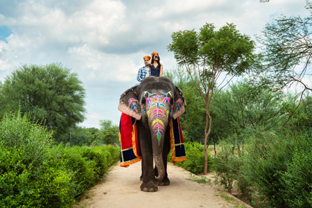 Fashion and Lifestyle