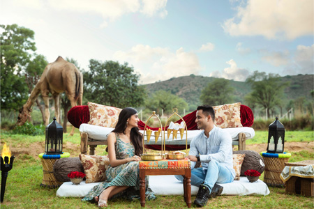 Fashion and Lifestyle